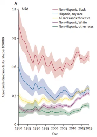 Line chart showing age-standardized mortality rates per 100,000 from 1980 to 2019, broken down by racial and ethnic groups. Despite reforms, fatal police violence rates for Non-Hispanic Black individuals have remained consistently higher than other groups since 1990.